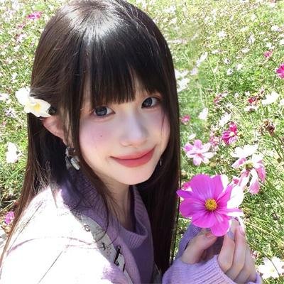 完美伴侣